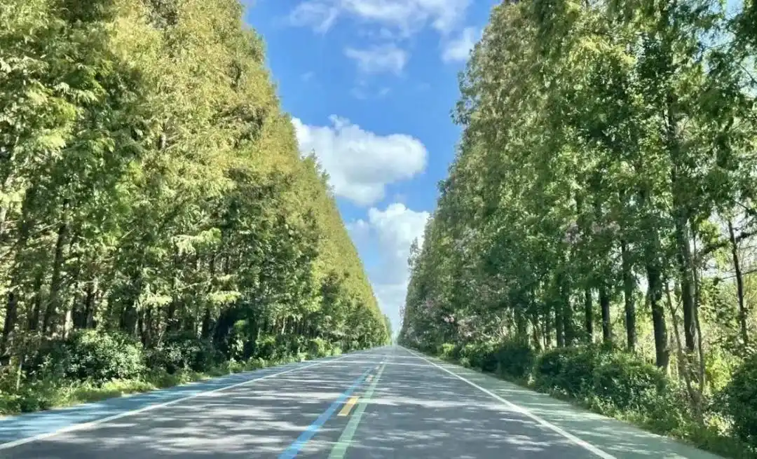 自驾海滨，“盐”途秋景醉游人！