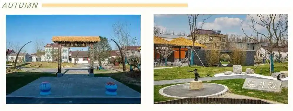 自驾海滨，“盐”途秋景醉游人！