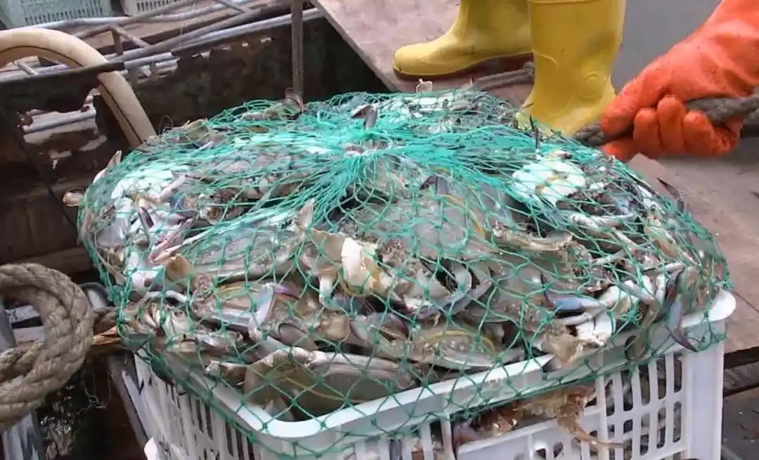 自驾海滨，“盐”途秋景醉游人！