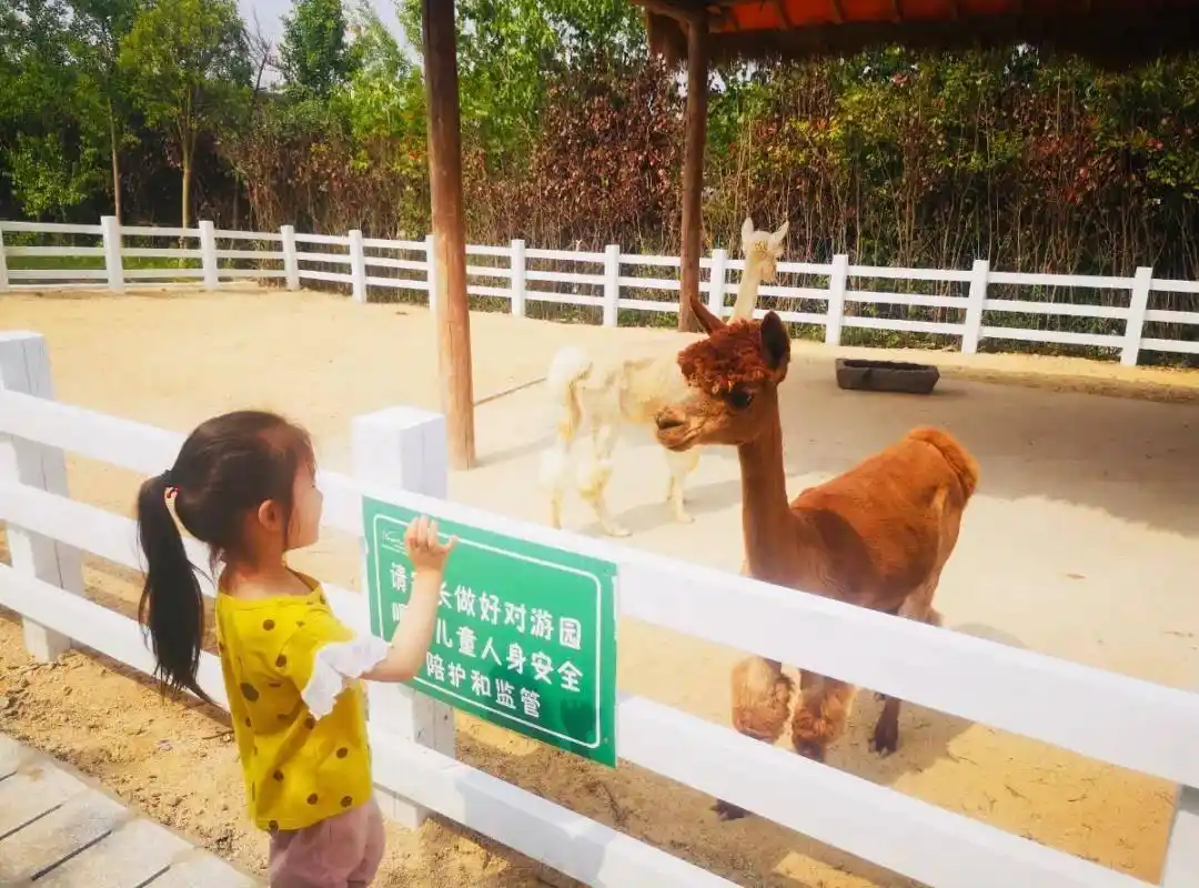 自驾海滨，“盐”途秋景醉游人！