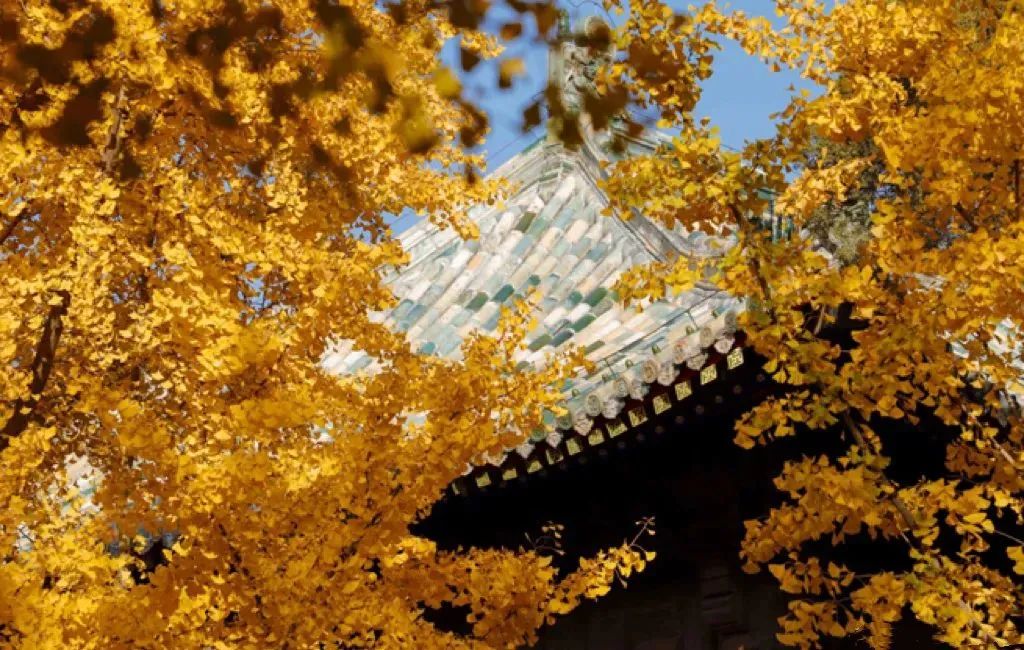 2024“中国之路”十大自驾游精品线路，山东这条路入选