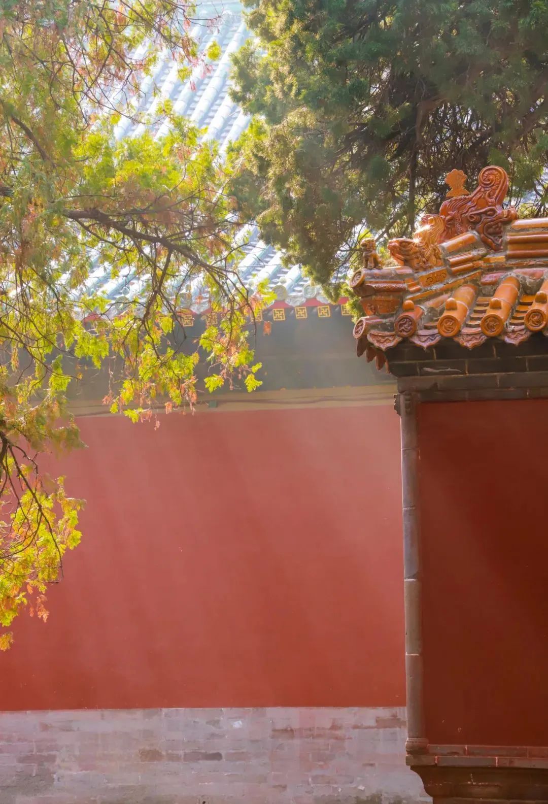 2024“中国之路”十大自驾游精品线路，山东这条路入选