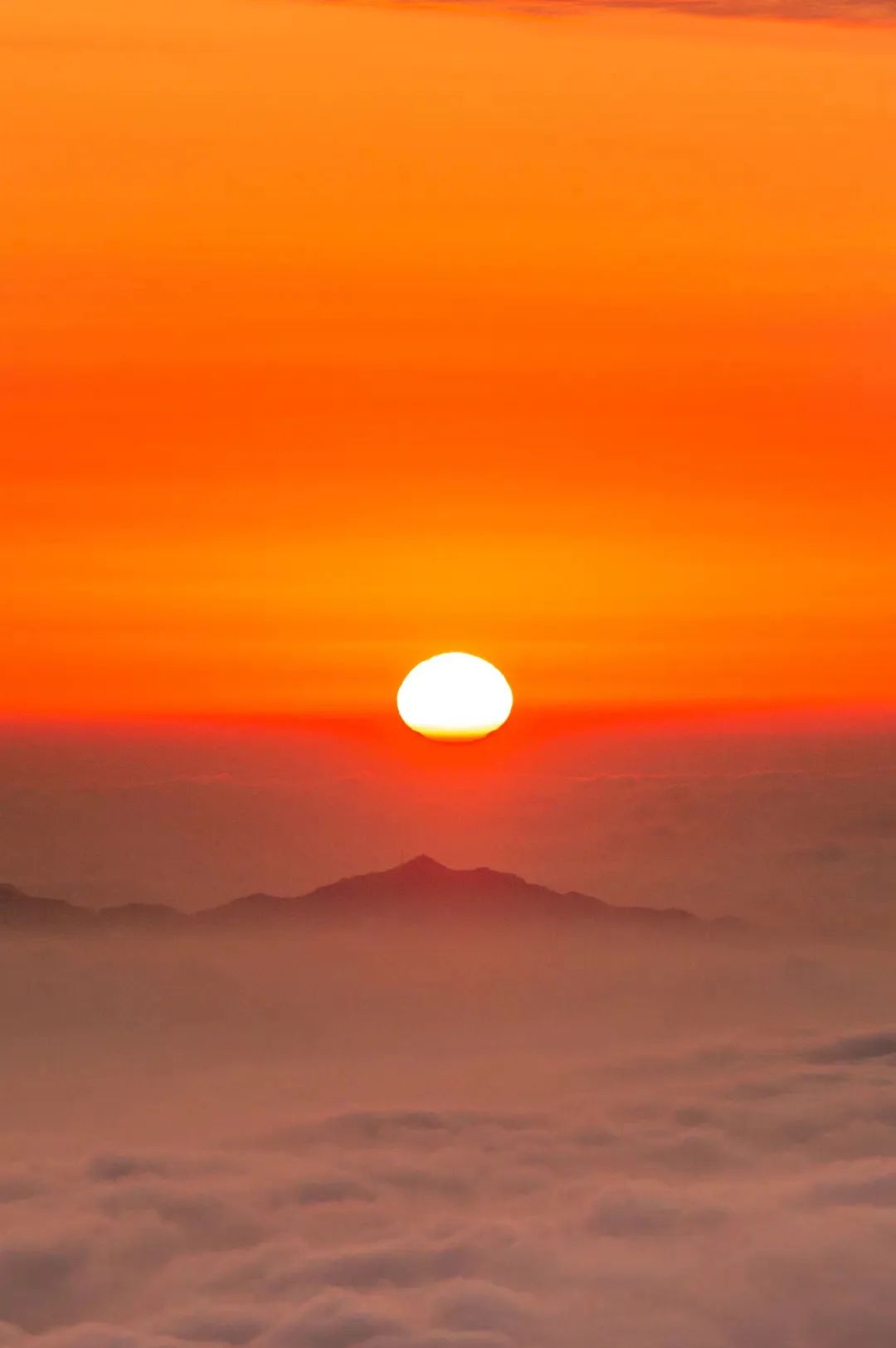 2024“中国之路”十大自驾游精品线路，山东这条路入选