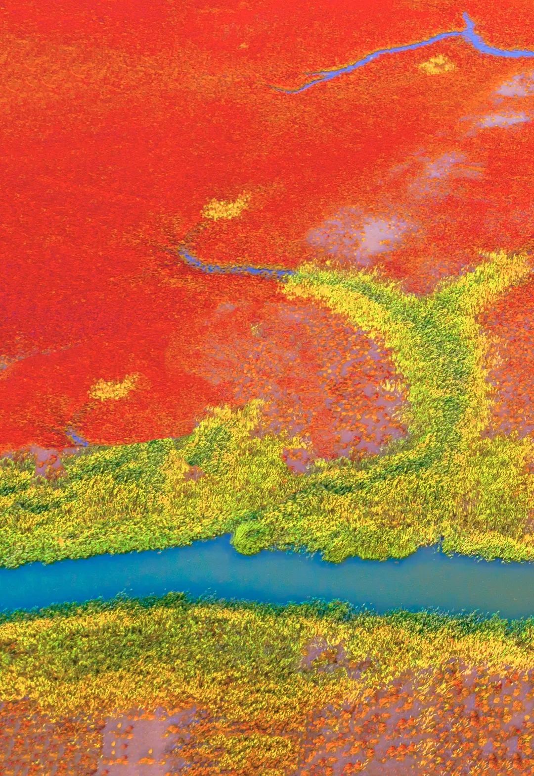 2024“中国之路”十大自驾游精品线路，山东这条路入选