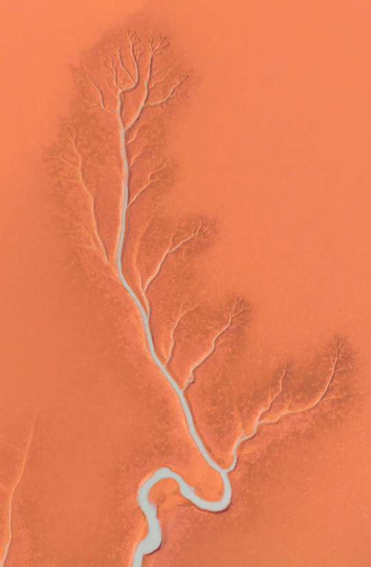 2024“中国之路”十大自驾游精品线路，山东这条路入选