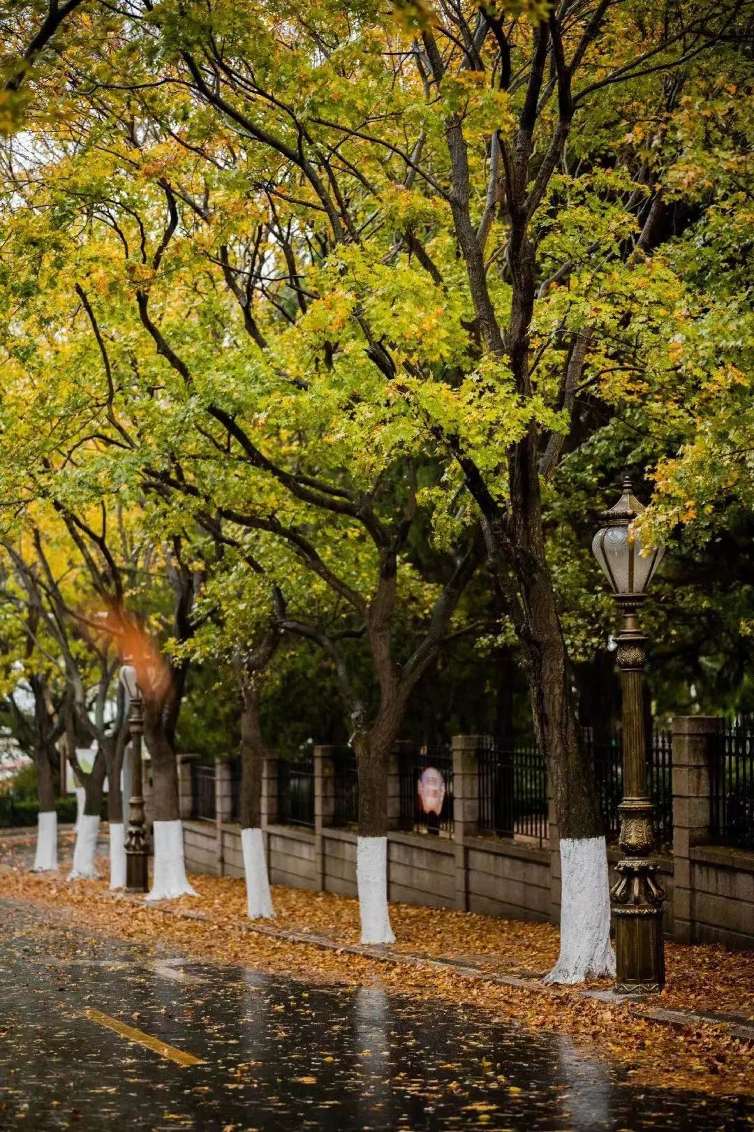 2024“中国之路”十大自驾游精品线路，山东这条路入选