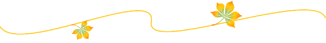 2024“中国之路”十大自驾游精品线路，山东这条路入选