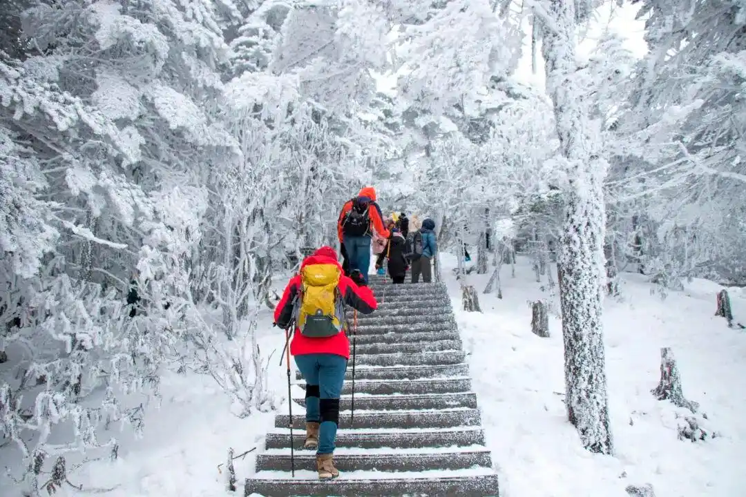 逢周末开行直通车 昆明老街、世博园可往返轿子山