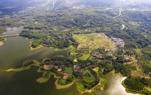 环海南岛自驾游？这份攻略请收好！