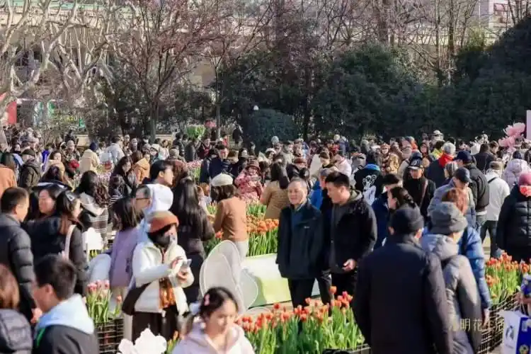 这周末，去哪玩｜云霄秋千挑战心跳极限、生煎“鼻祖”唤醒老上海记忆、遛娃“顶流”焕新回归……