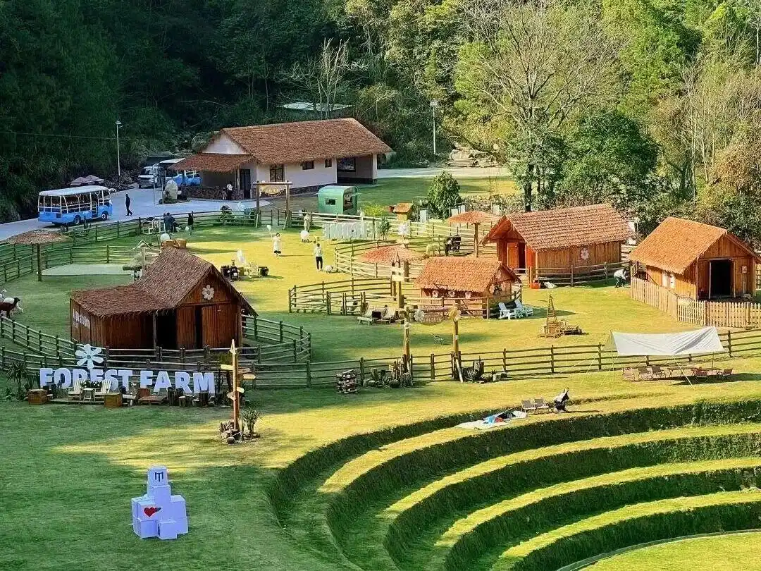 策马、登高、萌马贴贴，在龙岩过个“马”上快乐的周末