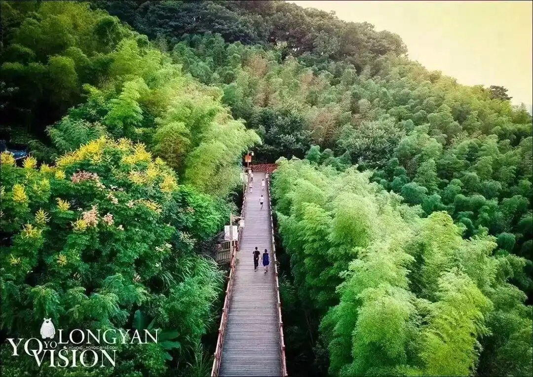 策马、登高、萌马贴贴，在龙岩过个“马”上快乐的周末