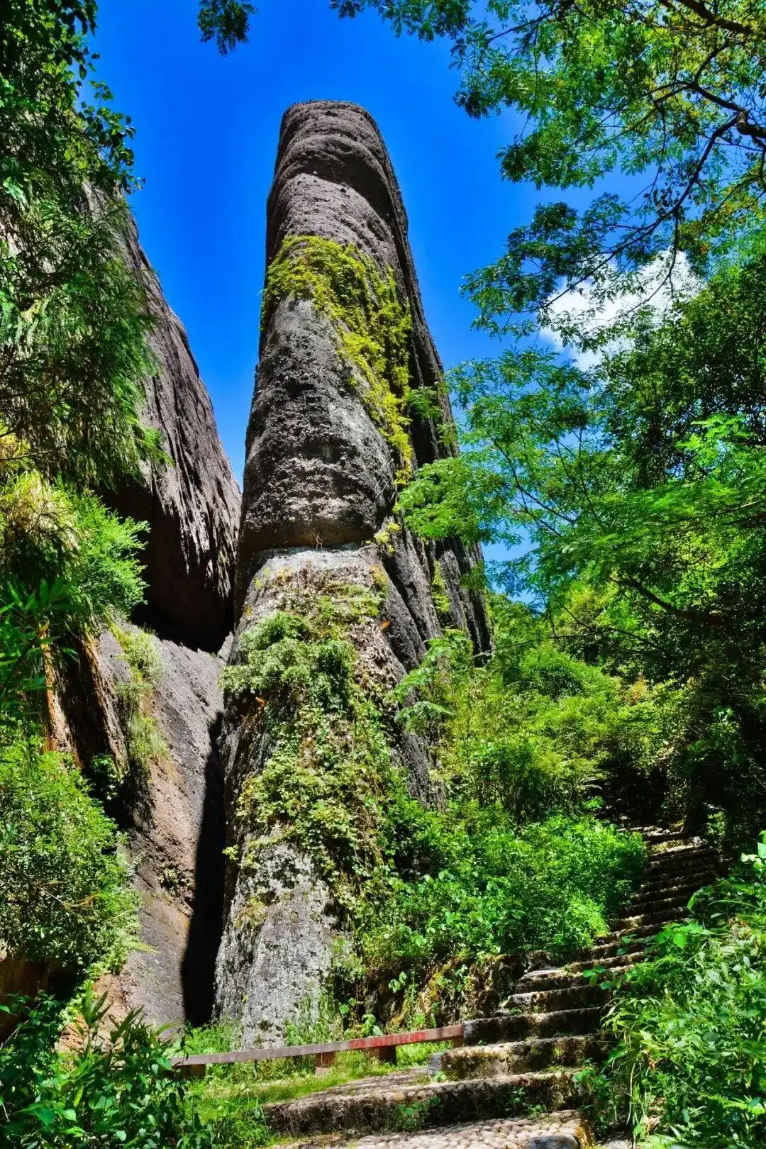 策马、登高、萌马贴贴，在龙岩过个“马”上快乐的周末