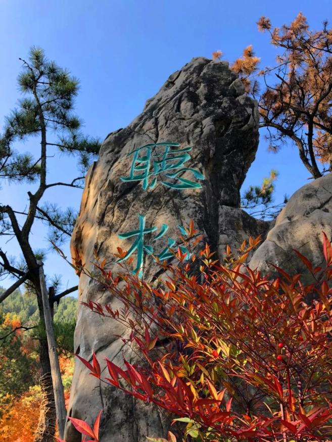 现在就出发！龙门石窟初冬高颜值美景已上线！