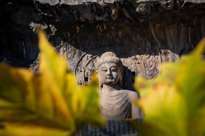 现在就出发！龙门石窟初冬高颜值美景已上线！