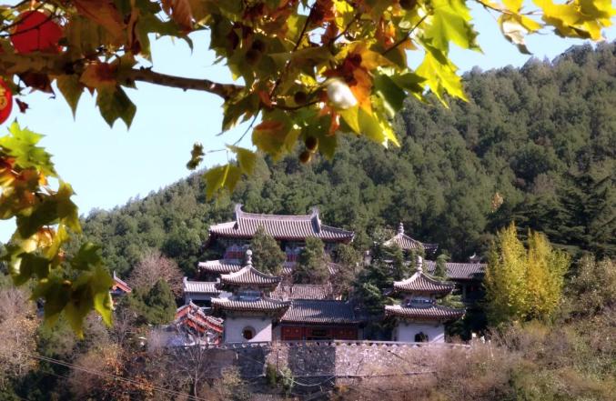 现在就出发！龙门石窟初冬高颜值美景已上线！