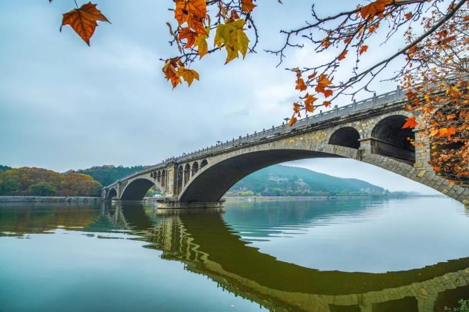 现在就出发！龙门石窟初冬高颜值美景已上线！