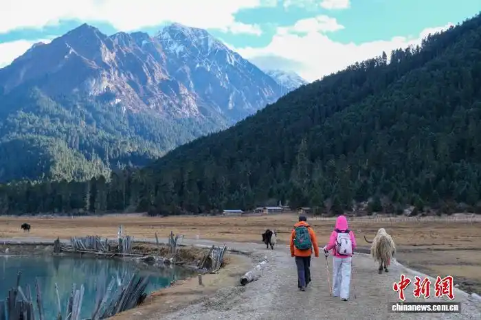 “西藏江南”林芝2025年接待游客超1700万人次