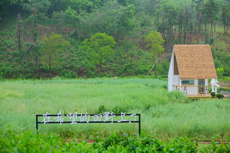 江蘇金壇茅山:創新驅動賦能文旅融合高質量發展