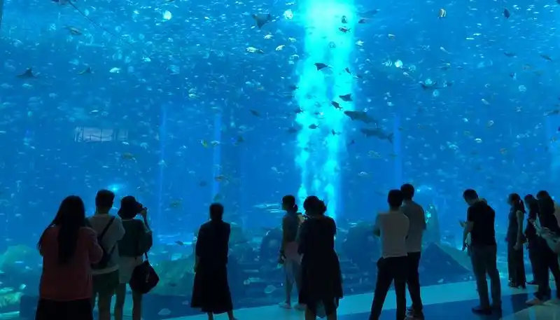 气温急升,滨海旅游旺季提前杀到!