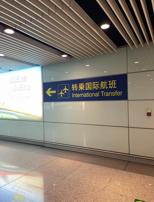 首都航空国际航线密集升级 多举措打造便捷跨境出行体验