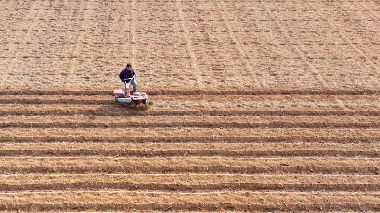 长沙火车站首开春运夜间高铁，输送益阳、常德、张家界西方向夜间客流