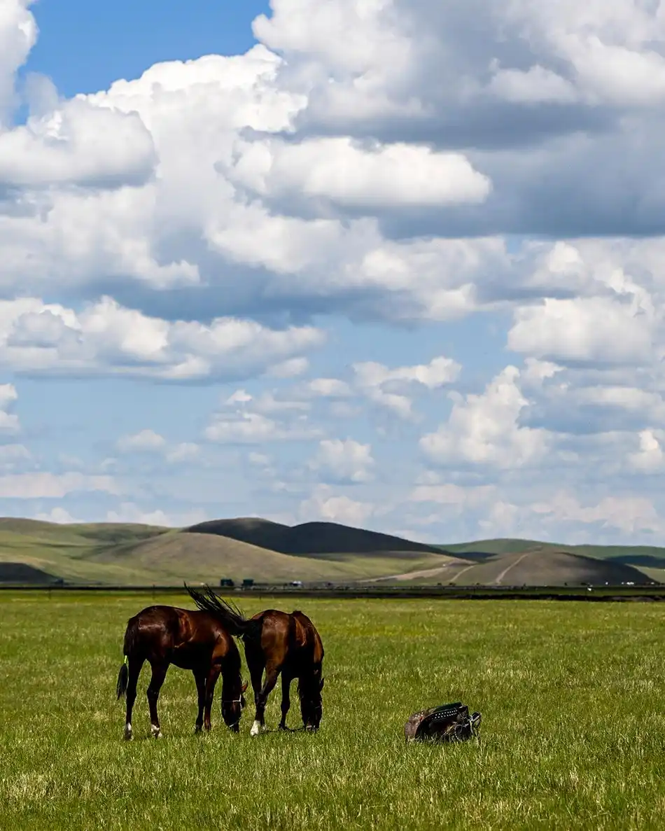 城事|呼伦贝尔19.5℃清凉“出圈”,感受夏日的山水图卷