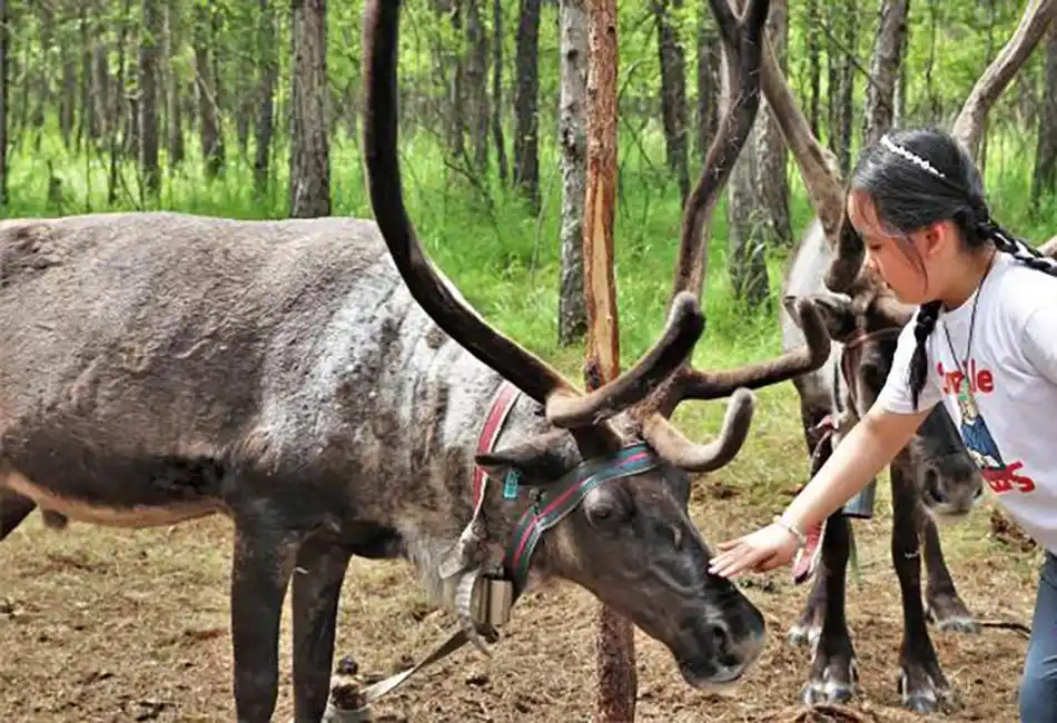 城事|呼伦贝尔19.5℃清凉“出圈”,感受夏日的山水图卷