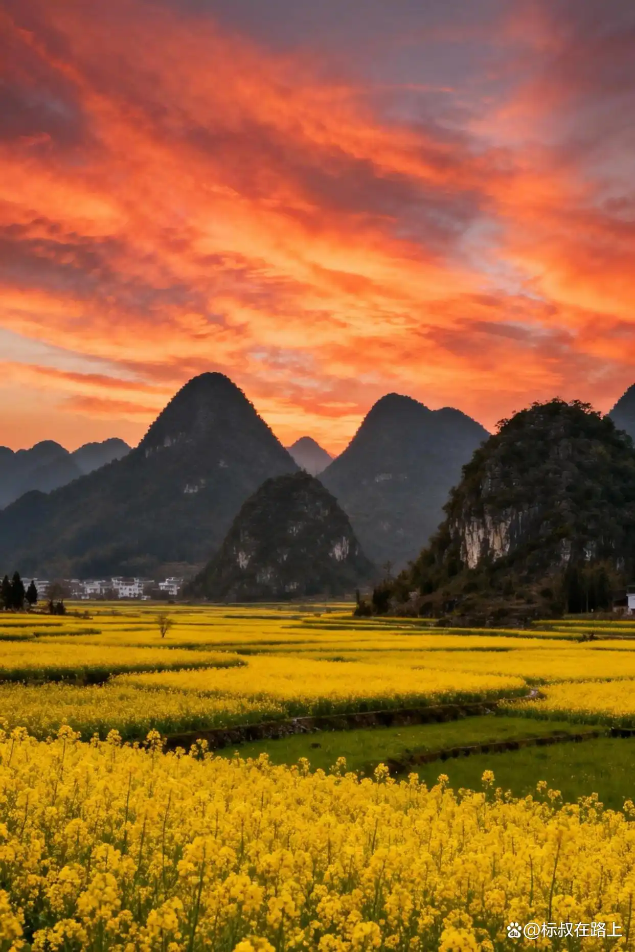 人生必打卡！春节带娃奔赴贵州万峰林，邂逅中国最早油菜花海！