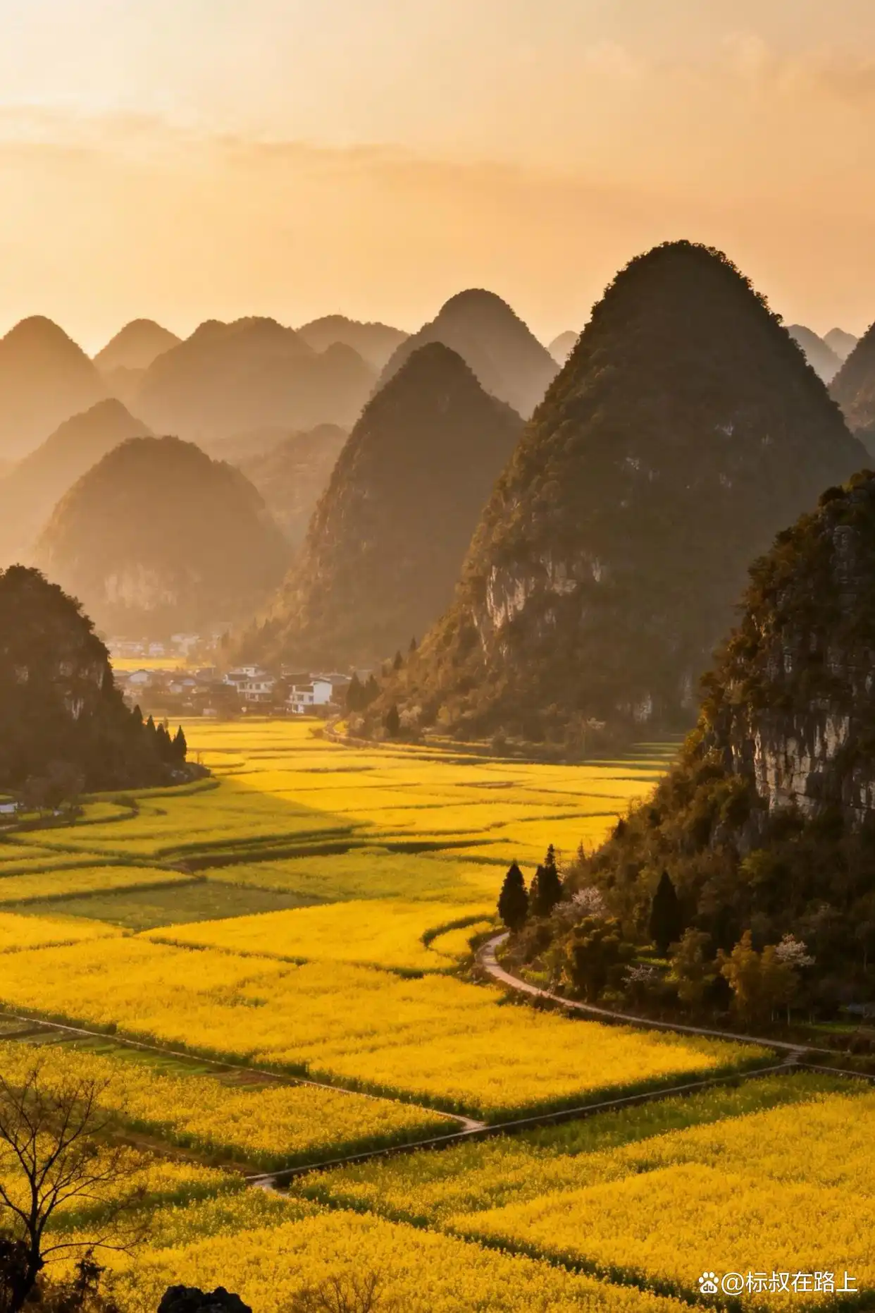 人生必打卡！春节带娃奔赴贵州万峰林，邂逅中国最早油菜花海！