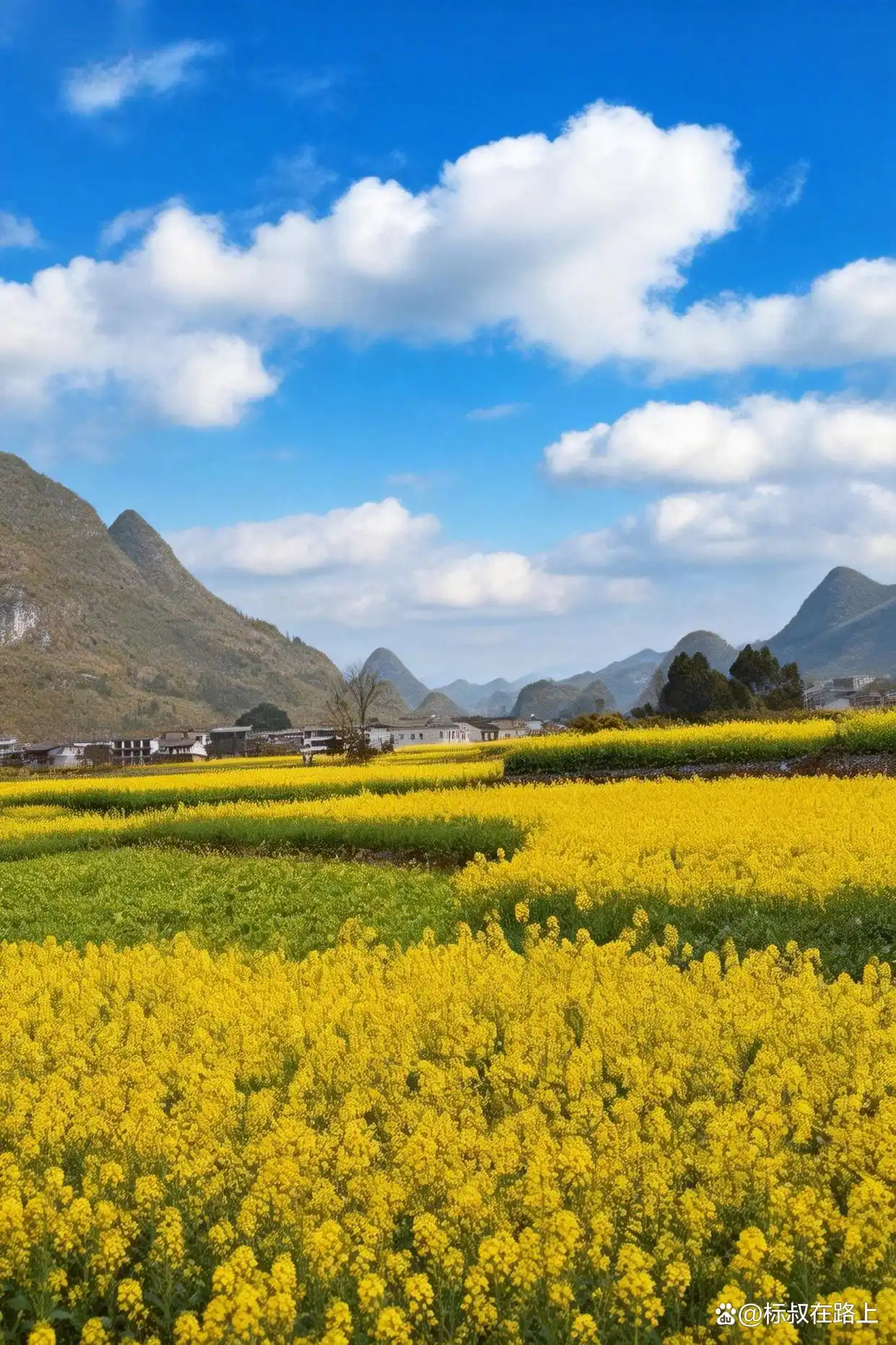 人生必打卡！春节带娃奔赴贵州万峰林，邂逅中国最早油菜花海！