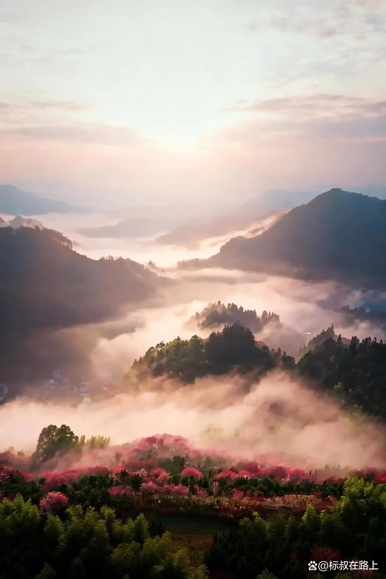 我在皖南上春天｜徽州版桃花源·卖花渔村