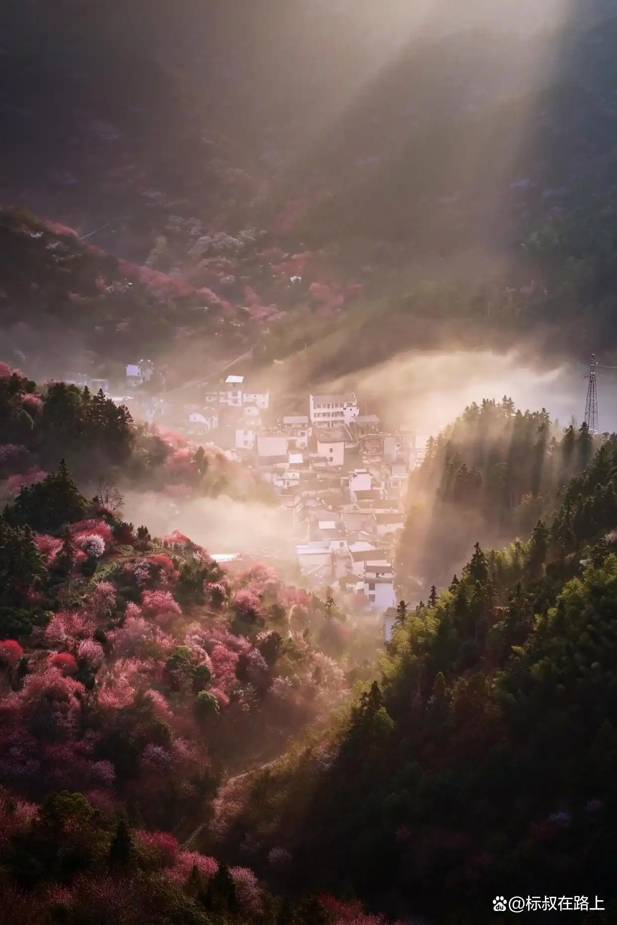 我在皖南上春天｜徽州版桃花源·卖花渔村