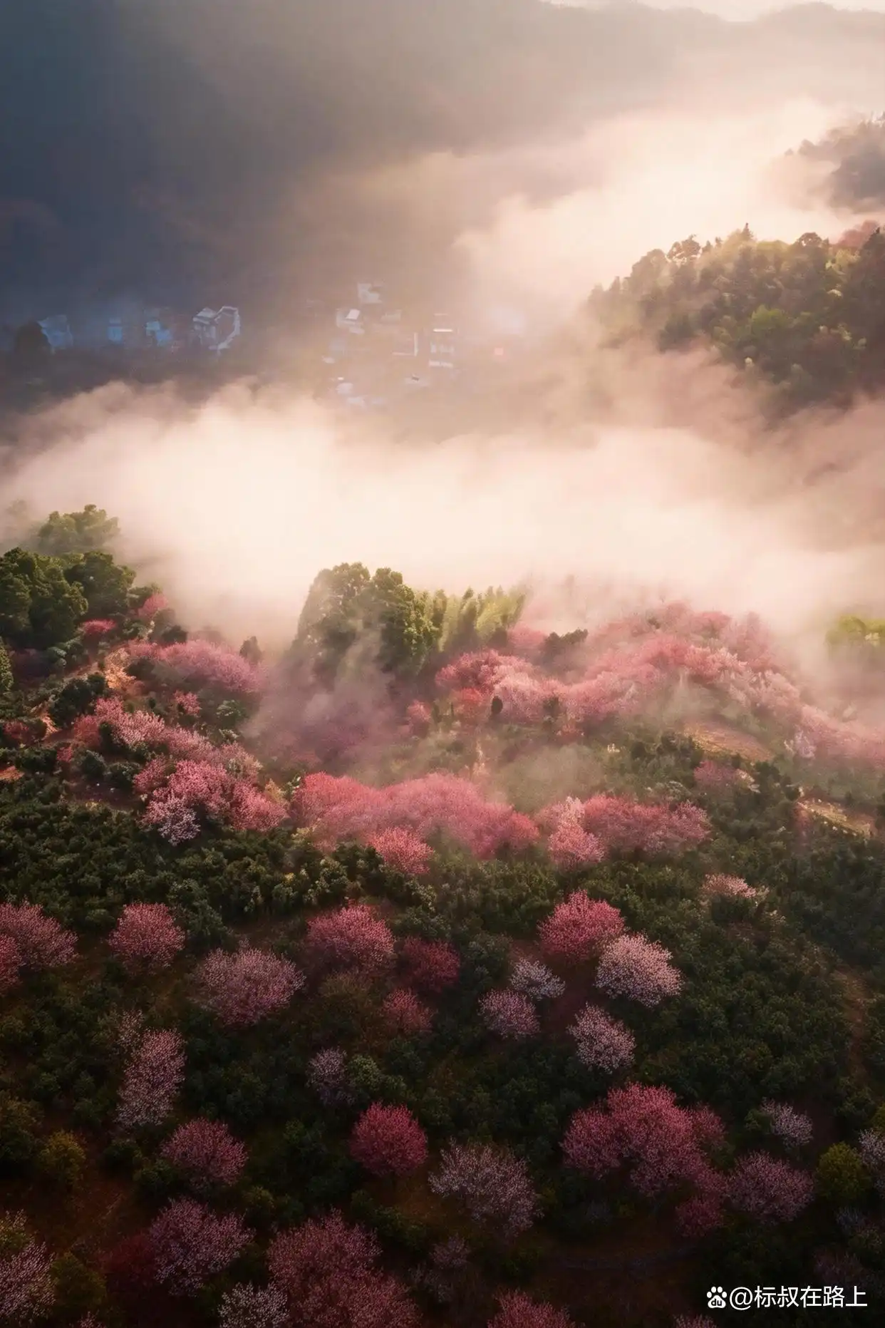 我在皖南上春天｜徽州版桃花源·卖花渔村