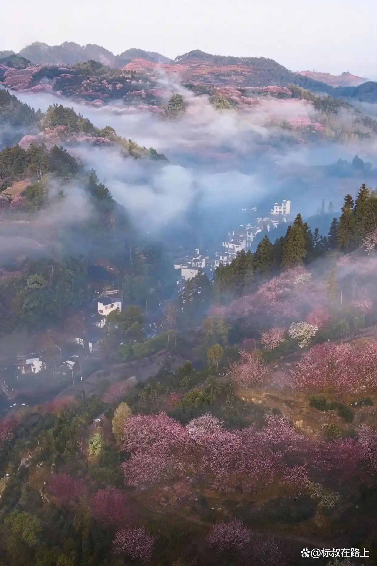我在皖南上春天｜徽州版桃花源·卖花渔村