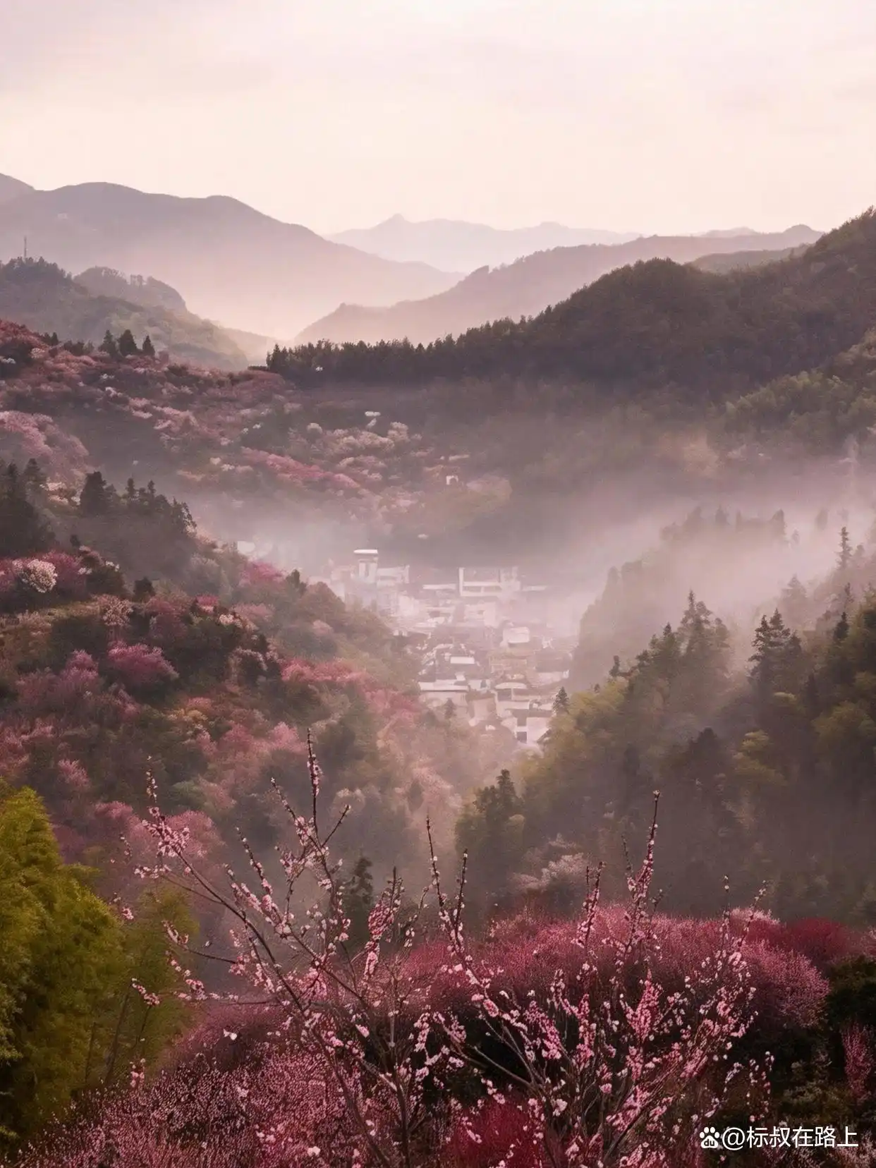 我在皖南上春天｜徽州版桃花源·卖花渔村
