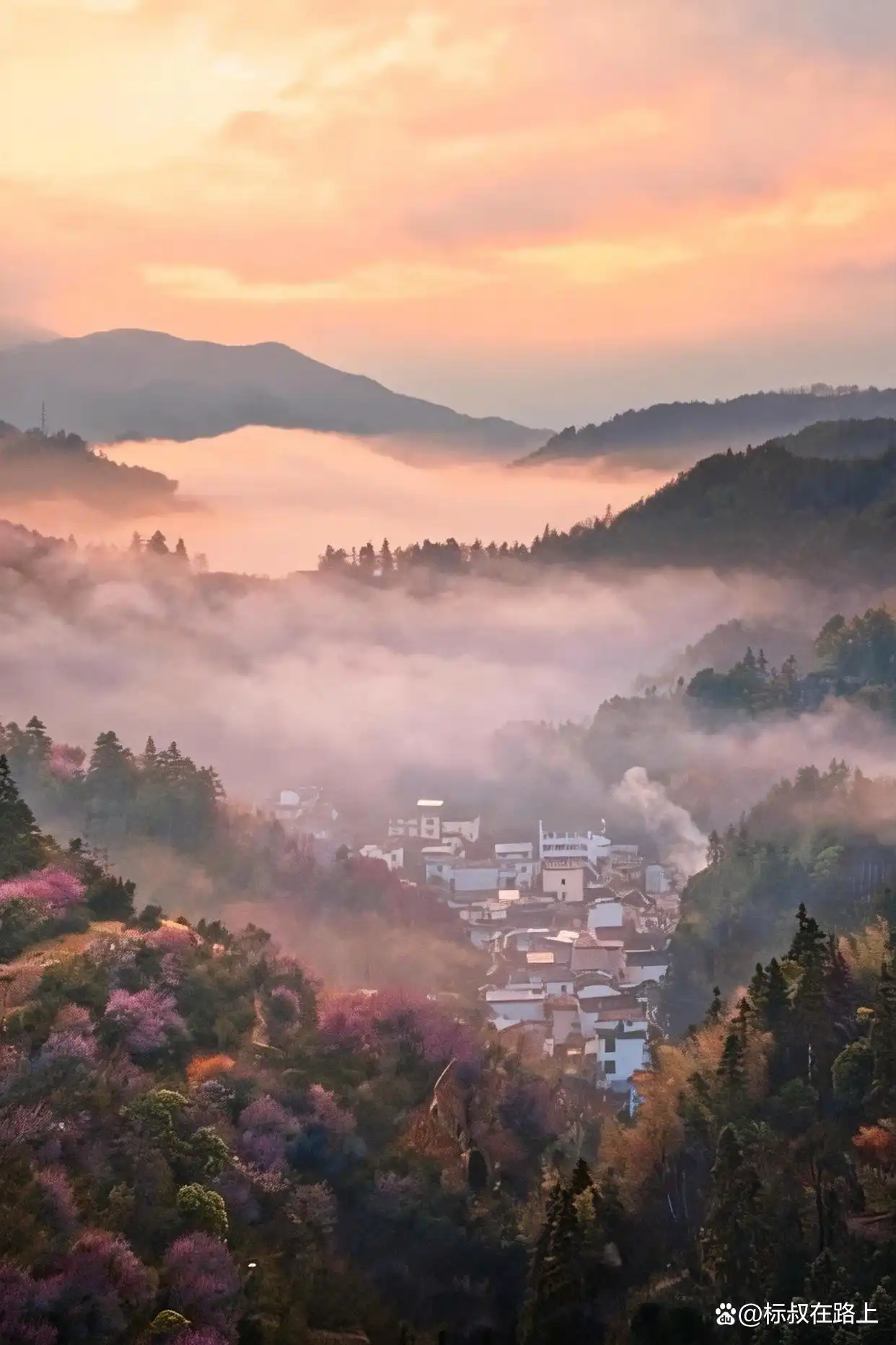 我在皖南上春天｜徽州版桃花源·卖花渔村