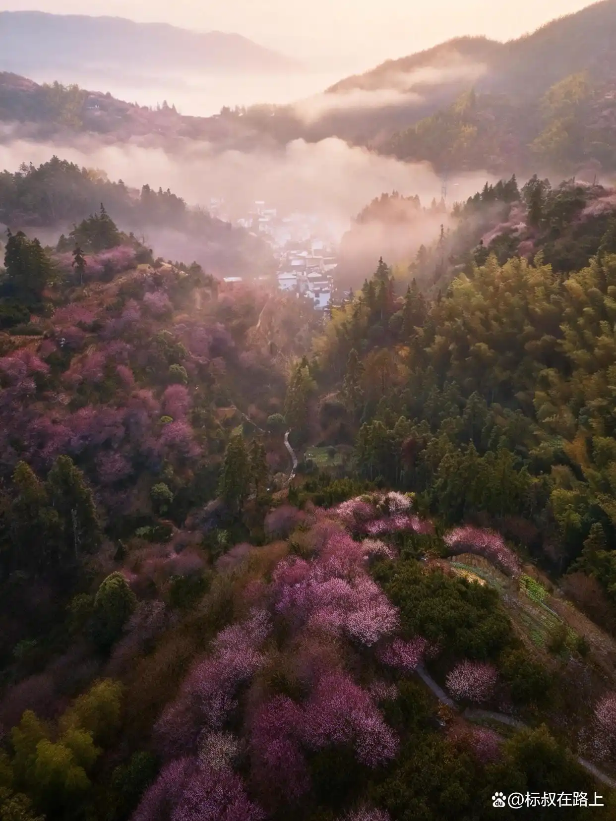 我在皖南上春天｜徽州版桃花源·卖花渔村