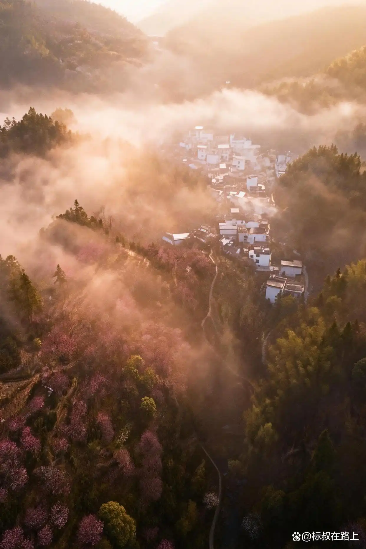 我在皖南上春天｜徽州版桃花源·卖花渔村