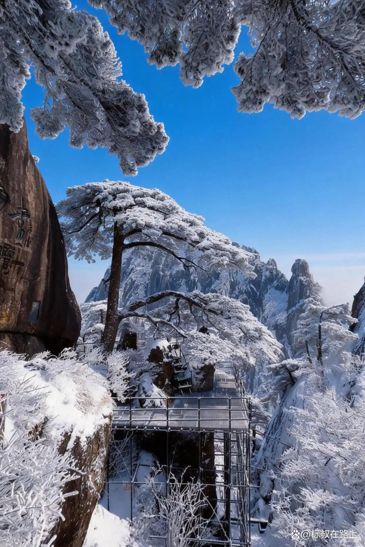 你看冬天的黄山，像不像一幅水墨画️！