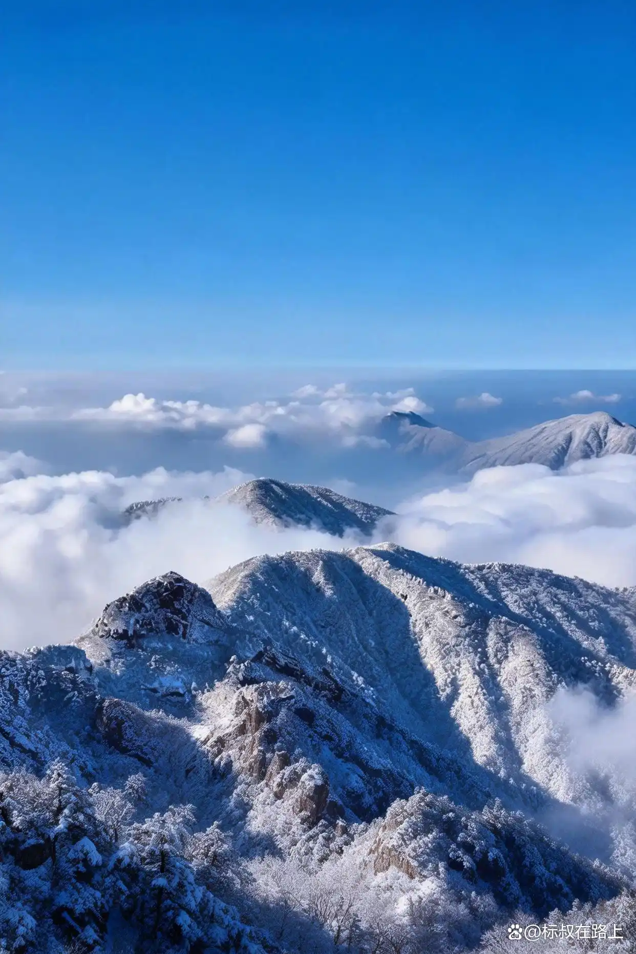 你看冬天的黄山，像不像一幅水墨画️！