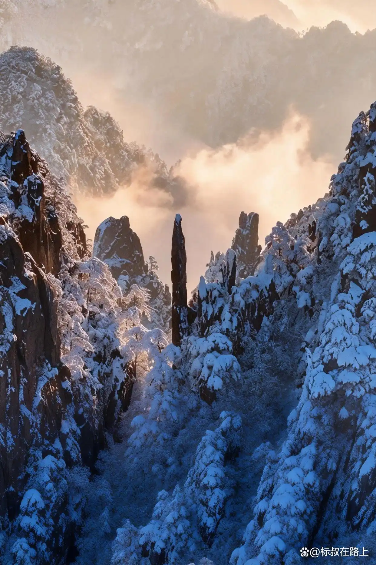 你看冬天的黄山，像不像一幅水墨画️！