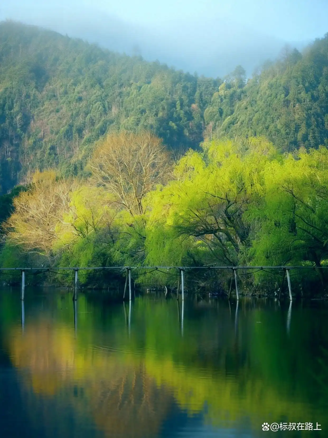 我不信！有人能拒绝婺源的春天！