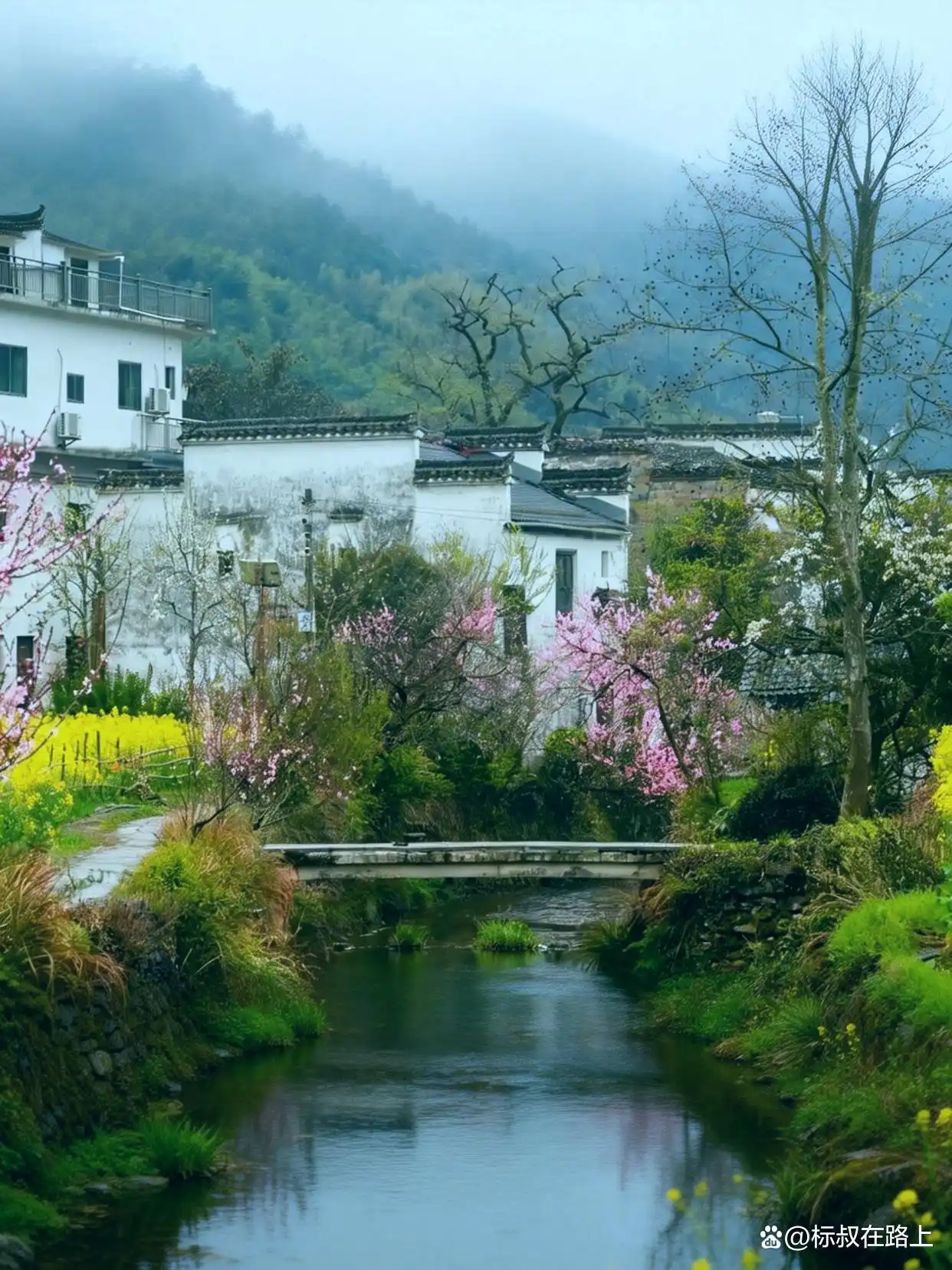 我不信！有人能拒绝婺源的春天！