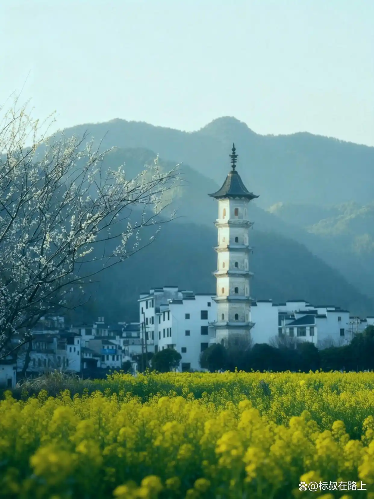 我不信！有人能拒绝婺源的春天！