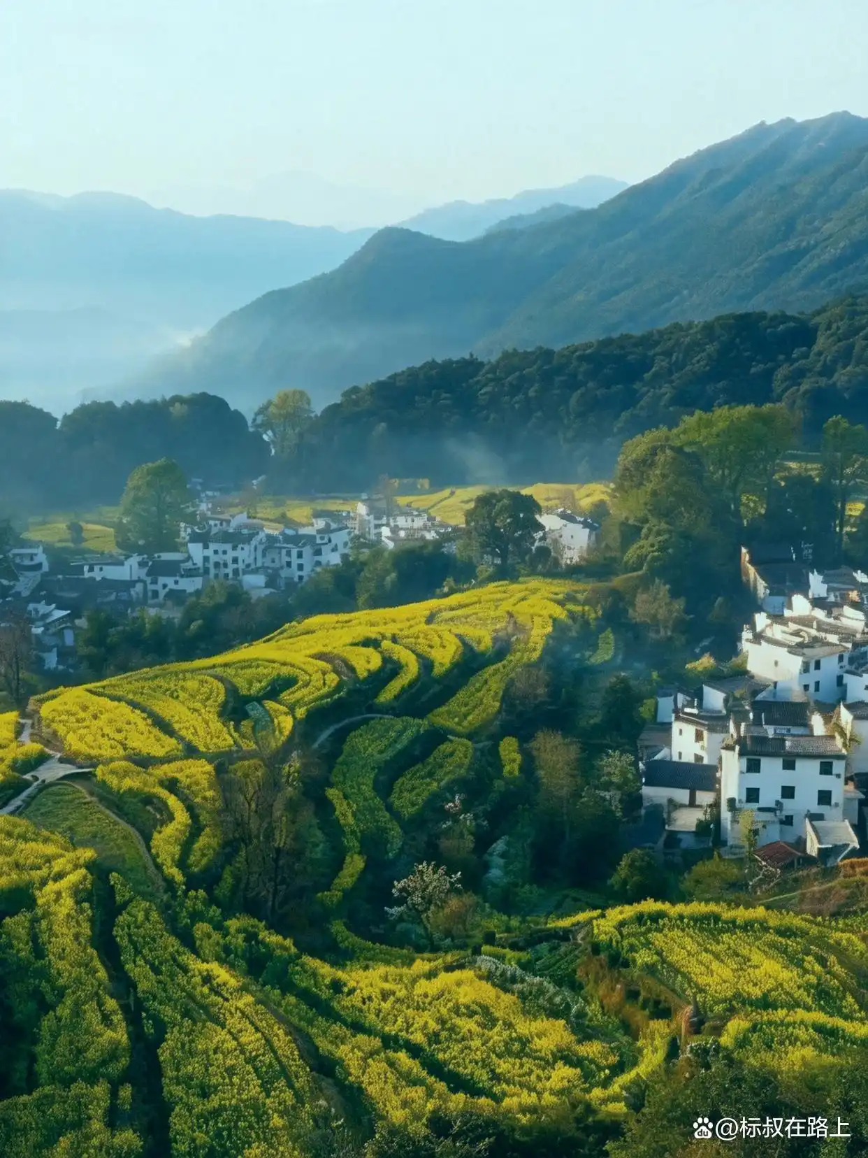 我不信！有人能拒绝婺源的春天！