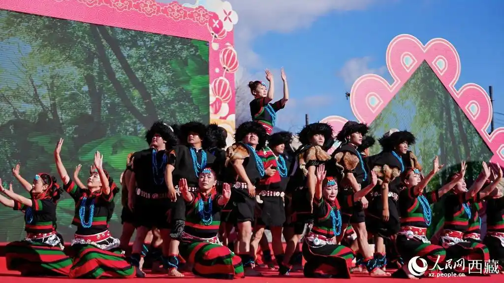 西藏林芝：边境村响起新春欢歌