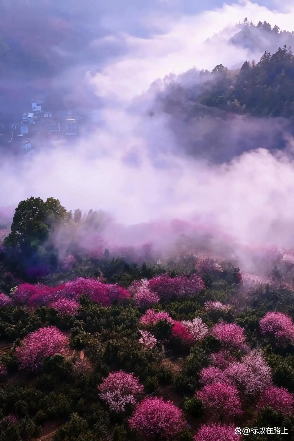 接下来的徽州,美成了陶渊明笔下《桃花源记》的鲜活画卷!