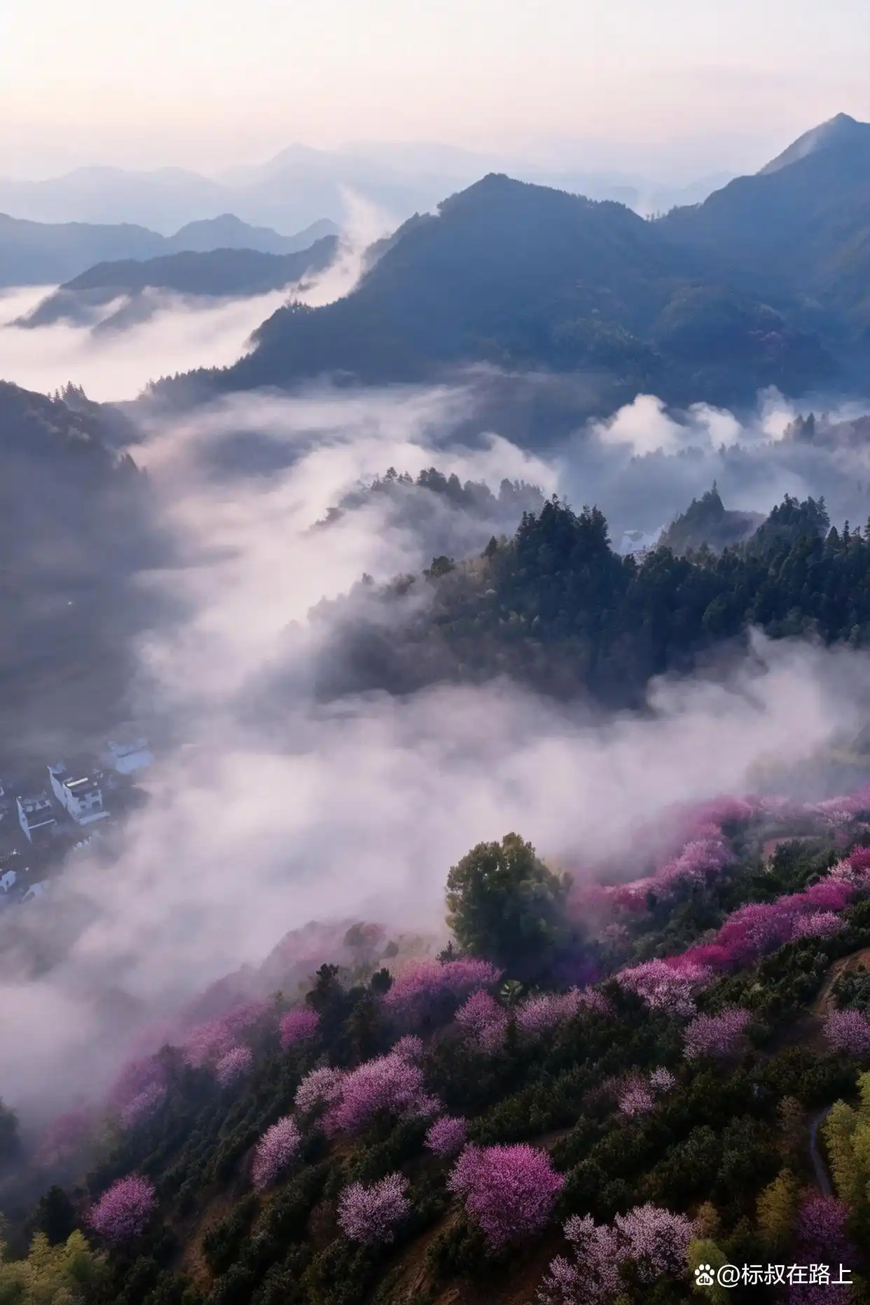 接下来的徽州,美成了陶渊明笔下《桃花源记》的鲜活画卷!