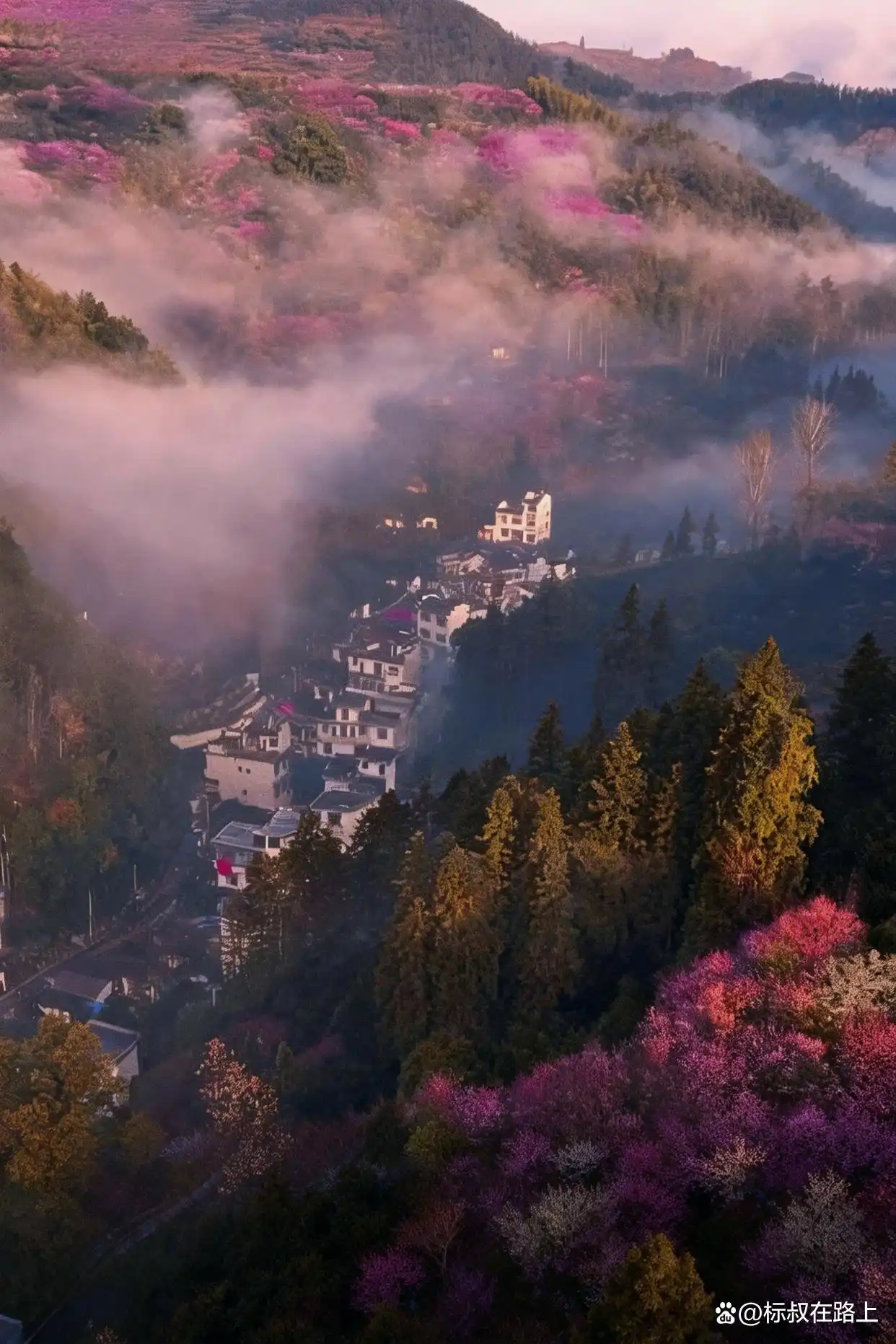 接下来的徽州,美成了陶渊明笔下《桃花源记》的鲜活画卷!